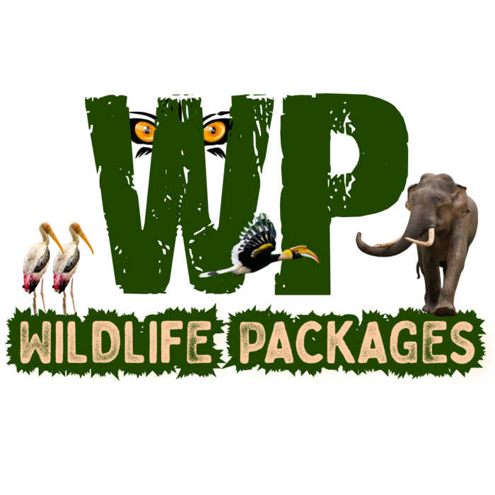 Wildlife Packages Logo small